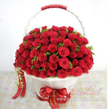 Hy vọng