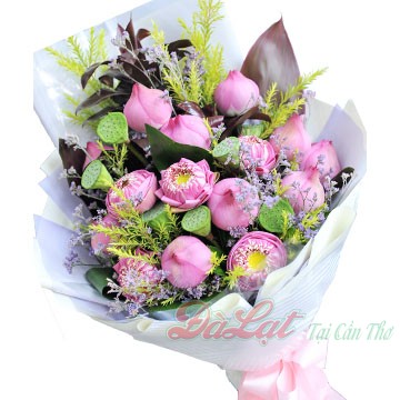 Hoa sen sức sóng mới