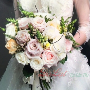 Cầm tay cô dâu 10