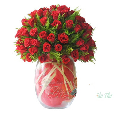 Vip Hồng đỏ