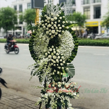 Lan và hồng chia buồn