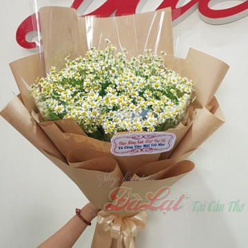Hoa cúc yêu thương