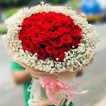 Hồng đỏ và baby