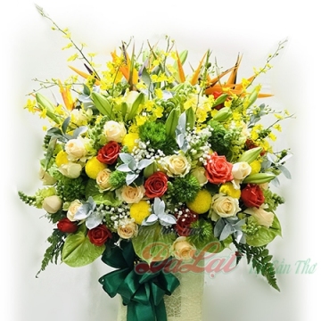 Ngày mới rực rở