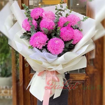 Cúc mẫu đơn màu hồng