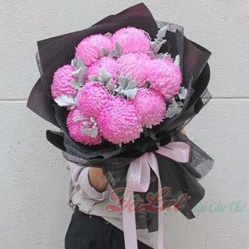 Cúc mẫu đơn hồng nhạt