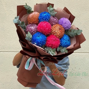 Cúc mẫu đơn nhiều màu
