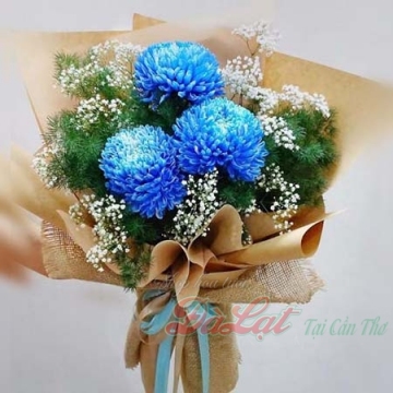 Cúc mẫu đơn xanh dương