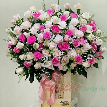 Hồng tặng em