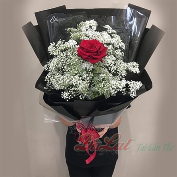 Hồng Ecurador