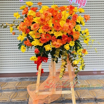 Ngày tỏa nắng