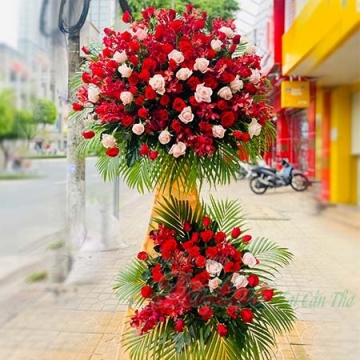 Hồng phát
