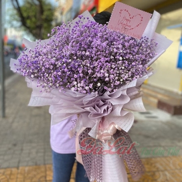 Bó baby lớn