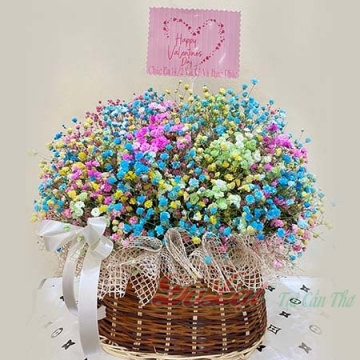 Giỏ baby VT01