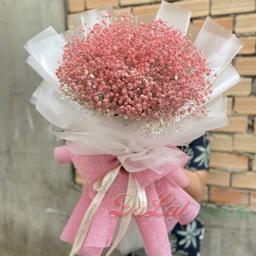 Baby hồng