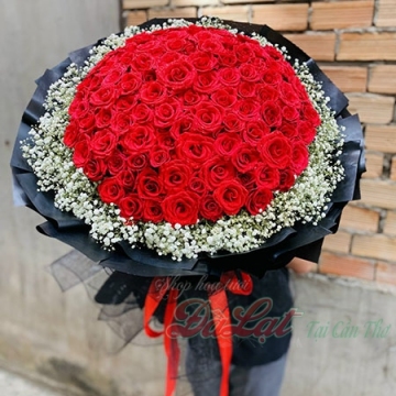 Hồng đỏ và baby