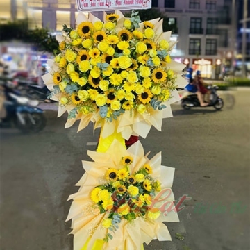Khởi đầu hoàn hảo
