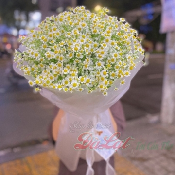 Một góc trời