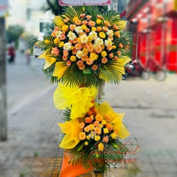 Khai Trương T702
