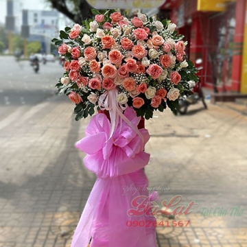 Khai Trương T801