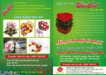 Mừng sinh nhật lần thứ 2 - Giảm giá từ 10 đên 20%