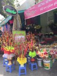 Chậu chưng Đào Tết - Nụ tầm xuân Shop hoa tươi Cần Thơ