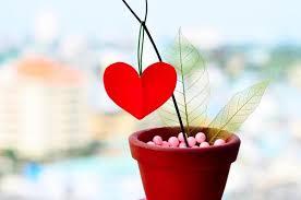 Hãy cảm ơn tạo hóa đã cho bạn được "Sống"