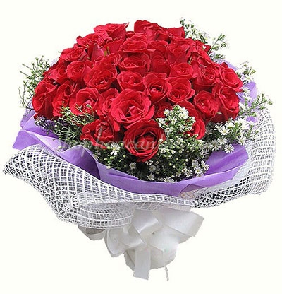 Hồng đỏ sinh nhật