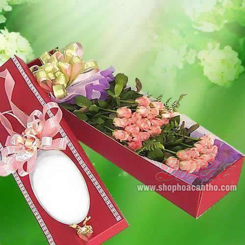 Hoa hộp - Hồng cam