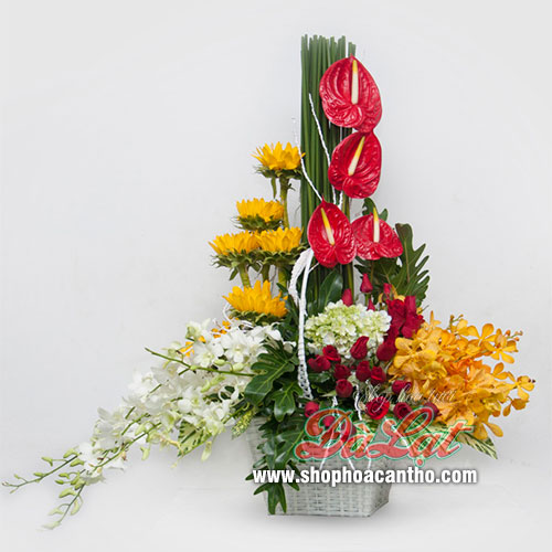 Hoa mừng giáng sinh Xinh tươi