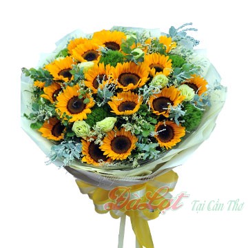 Hướng dương ngày nắng