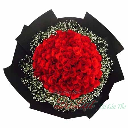 Bó hồng đỏ yêu thương