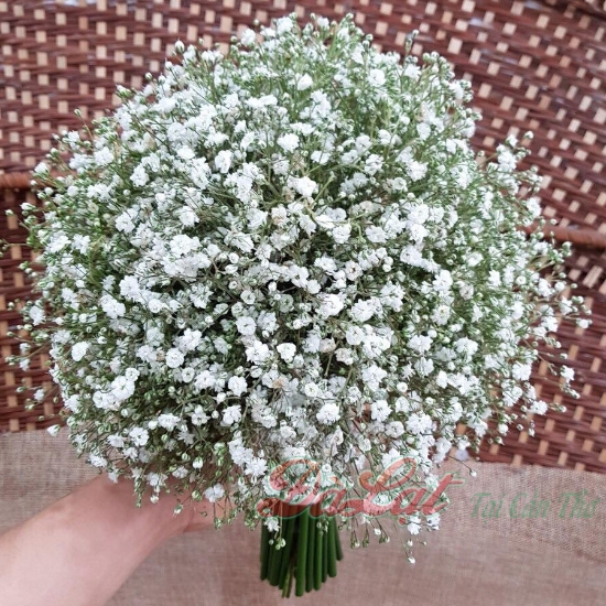 Cầm tay cô dâu 9