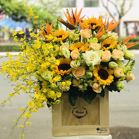Hướng dương và lan