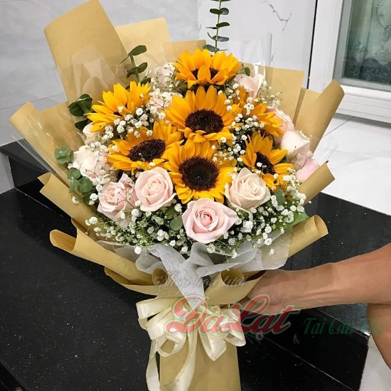 Hoa hướng dương vàng