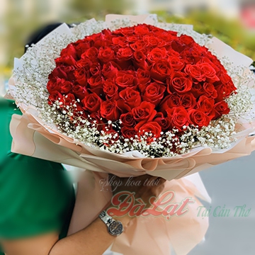 Hoa hồng và baby