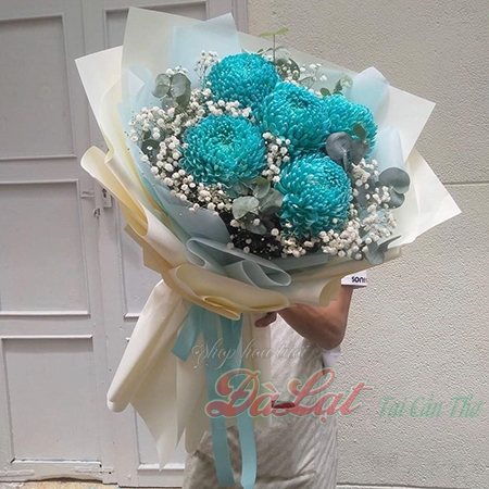 Cúc mẫu đơn xanh