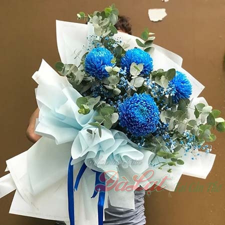 Cúc mẫu đơn xanh dương lớn