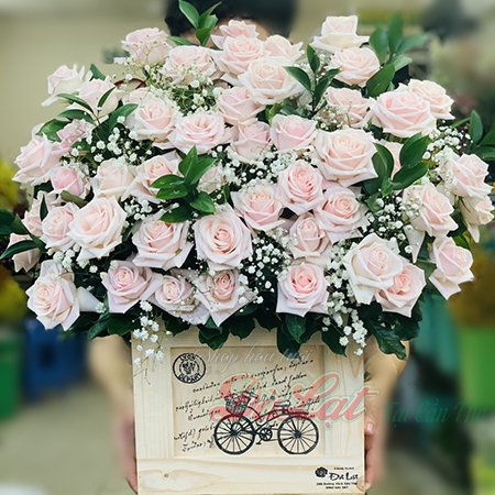 Hoa  hướng dương vàng