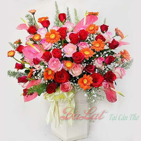 Điện hoa Cần Thơ