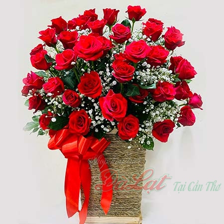 Điện hoa Cần Thơ