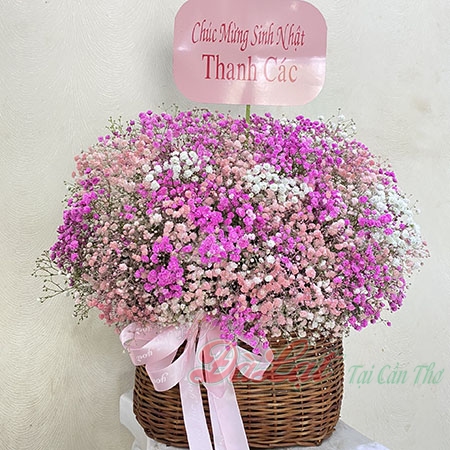Điện hoa Cần Thơ