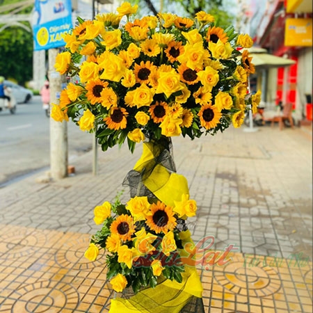 Đại hồng phát