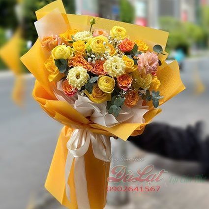 Nắng sớm