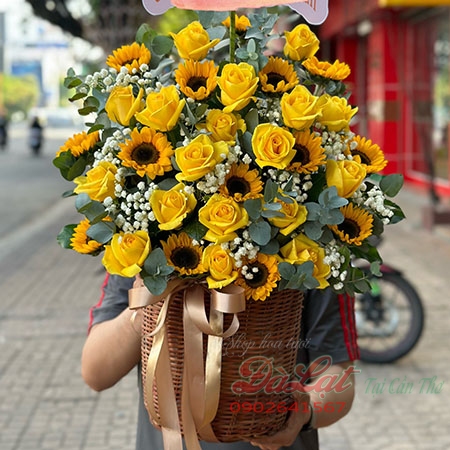 Hy vọng