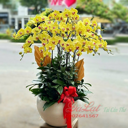 Điện hoa Cần Thơ