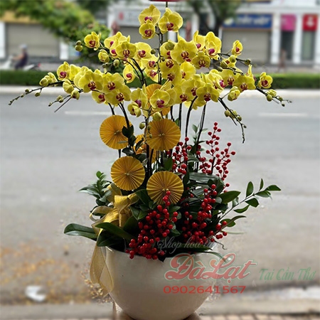 Hồ điệp vàng 02