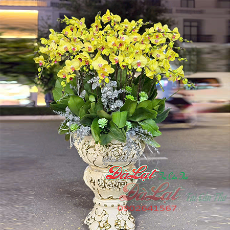 Hồ Điệp VIP 06