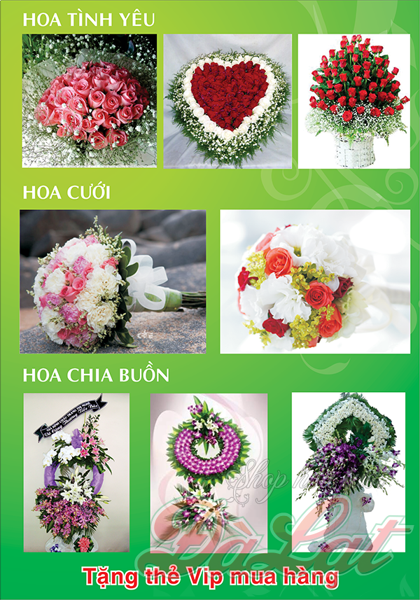 tặng thẻ VIp khi mua hàng